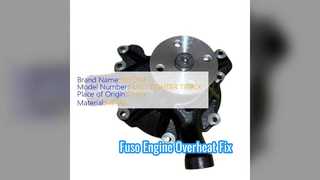 Mitsubishi Fuso Su Pompası 6D17 Motor Tamiri