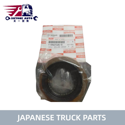 Japon kamyon parçaları Arka Farklılık Yağ Dükkanı 1-09625484-0 1096254840 ISUZU için 4HK1 6BD1 6HE1T 6HH1 Kamyon Hino Motor Parçaları